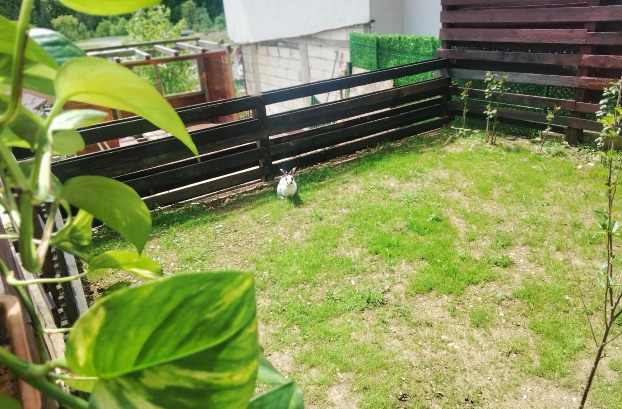 Doi Iepuri Apartment อาซูกา ภายนอก รูปภาพ